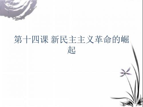 【高中历史】新民主主义革命的崛起ppt24