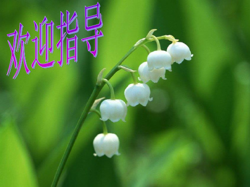 综合性学习之解读漫画题