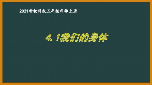 新教科版2021杭州五年级科学上册第四单元《健康生活》全部课件(共7课时)