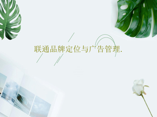 联通品牌定位与广告管理.66页PPT