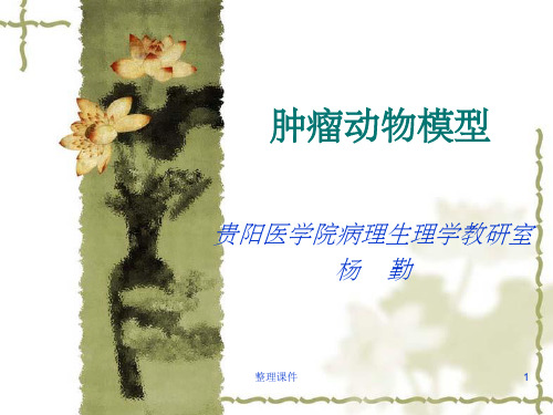 《肿瘤模型》PPT课件