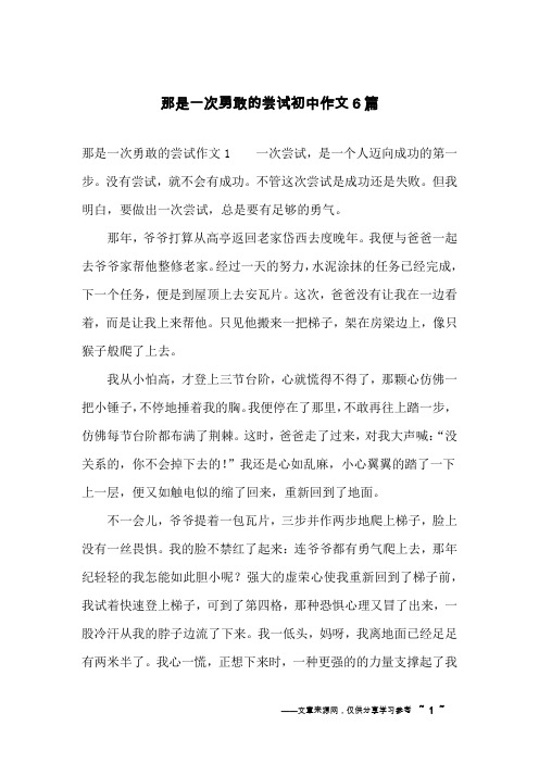 那是一次勇敢的尝试初中作文6篇