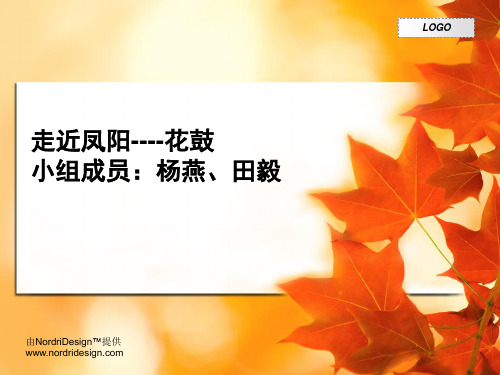 1111安徽凤阳花鼓