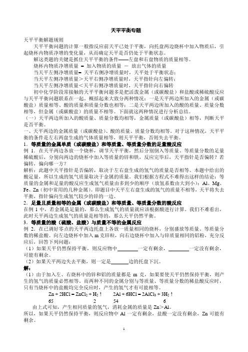 天平平衡专题定稿