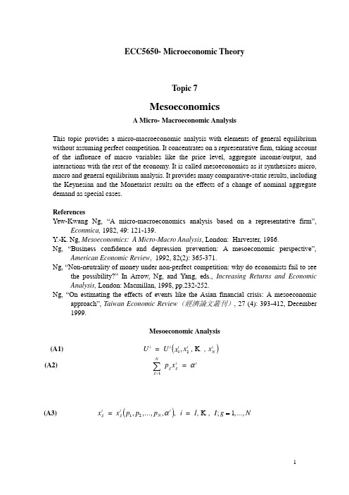 高级微观经济学 (黄有光) AdMicro-L7-Mesoeconomics