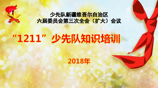“1211”少先队知识培训教材