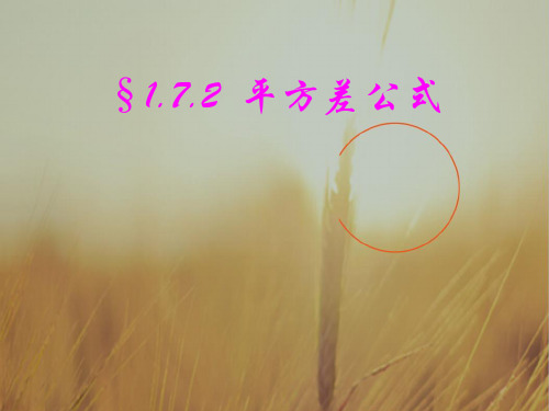 最新-初一数学最新课件17平方差公式8北师大 精品