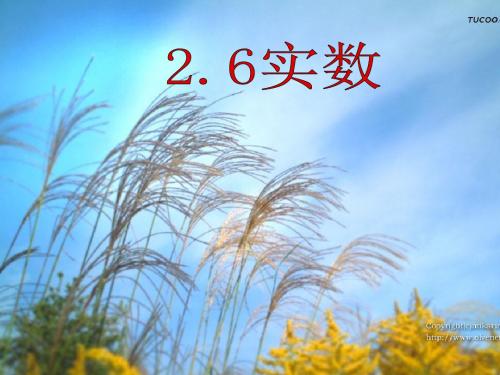 新北师大版八年级数学上册《实数》优质课课件(共25张PPT)