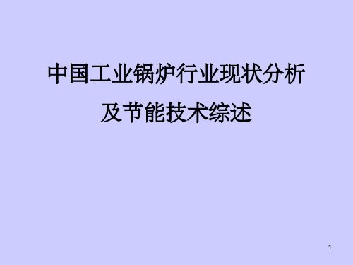 中国工业锅炉行业现状分析及节能技术综述 共22页PPT资料