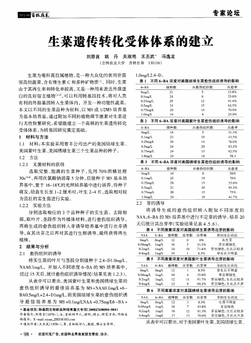 生菜遗传转化受体体系的建立