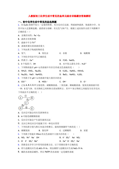 人教版初三化学生活中常见的盐单元综合训练题含答案解析