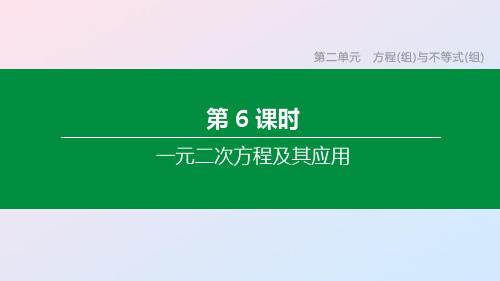 中考数学复习第二单元方程组与不等式组第课时一元二次方程及其应用课件