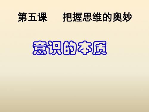意识的本质