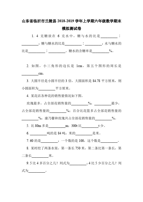 山东省临沂市兰陵县2018-2019学年上学期六年级数学期末模拟测试卷.doc