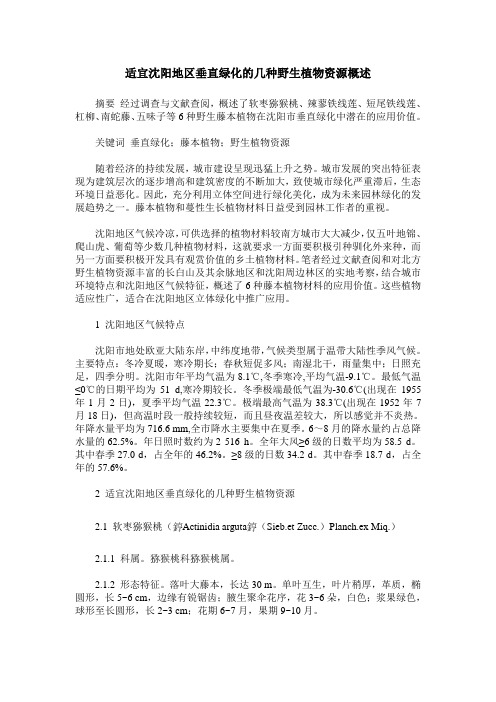 适宜沈阳地区垂直绿化的几种野生植物资源概述