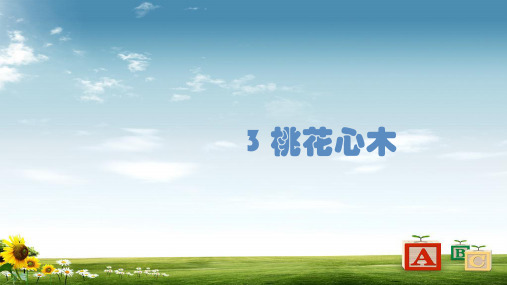 新课标人教版小学六年级语文下册3《桃花心木》课件精品PPT课件