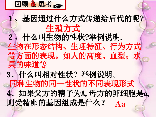 第三节基因的显性和隐性课件人教版11111111