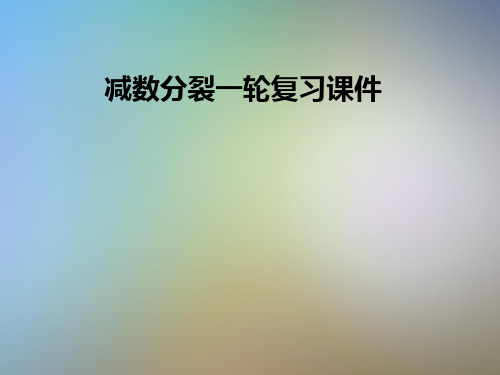 减数分裂一轮复习课件