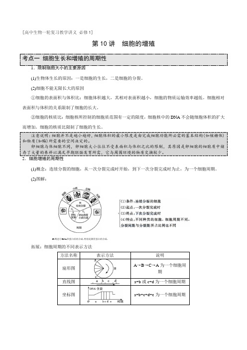 第10讲细胞的增殖-2022年高考生物一轮复习讲义(人教版)(原卷版)