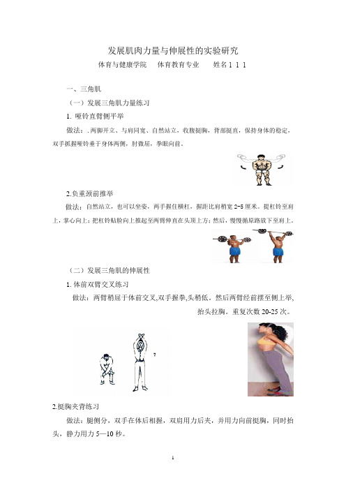 作业  发展肌肉力量与伸展性的实验研究
