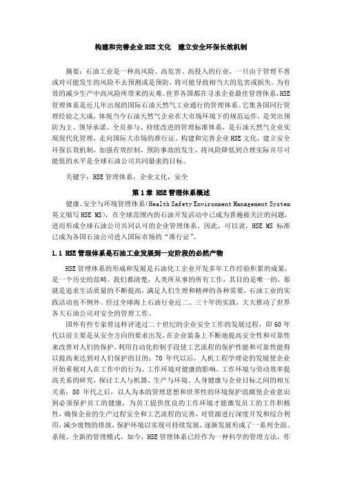 构建和完善企业HSE文化  建立安全环保长效机制