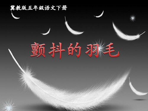 《颤抖的羽毛》课件2