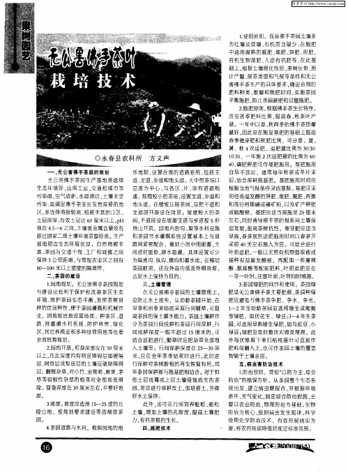 无公害佛手茶叶栽培技术