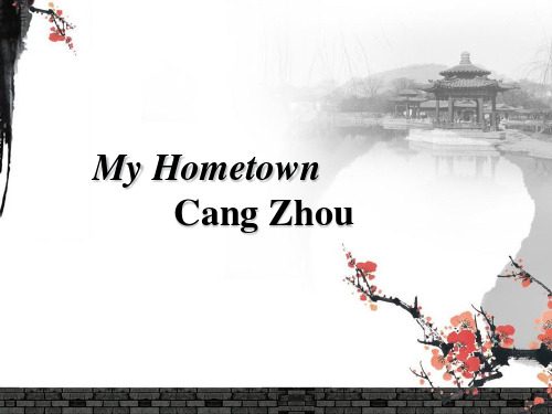 我的家乡沧州