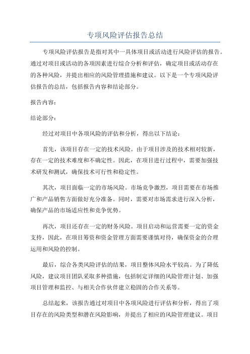 专项风险评估报告总结