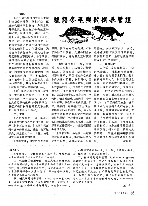 狐貉冬毛期的饲养管理
