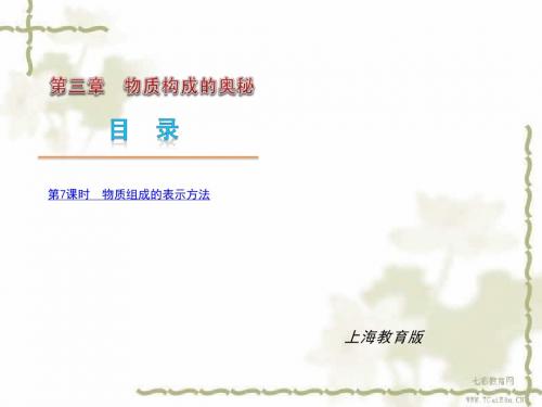 2014中考化学复习课件-物质组成的表示方法(沪教版)