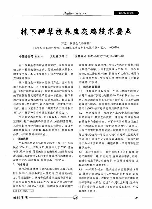 林下种草放养生态鸡技术要点