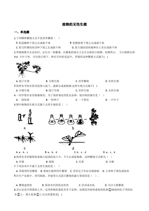 植物的无性生殖 同步练习含解析(2021年初二科学浙教版)