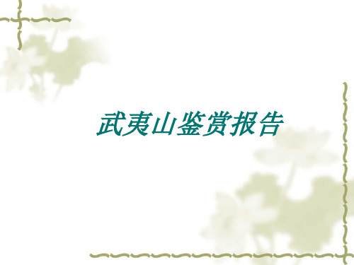 山体景观鉴赏——武夷山鉴赏报告1
