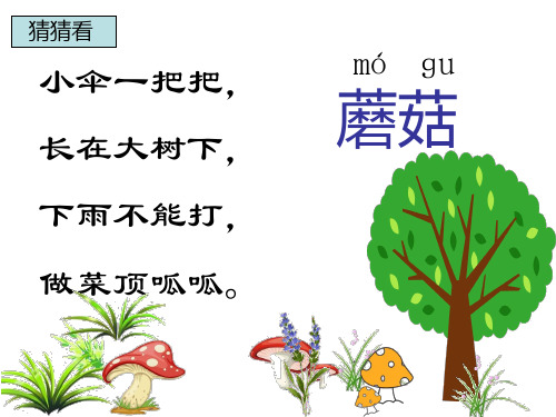 苏教版语文一年级下册《蘑菇该奖给谁》ppt课件3