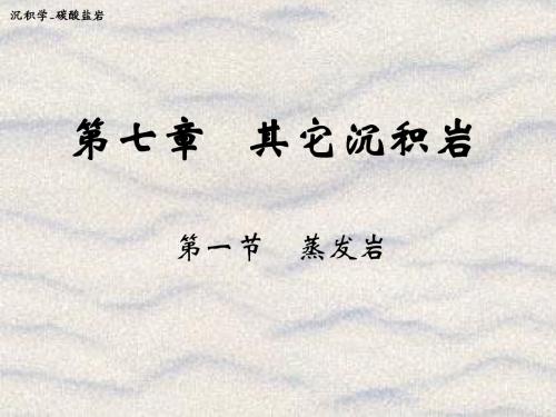 沉积学_其它沉积
