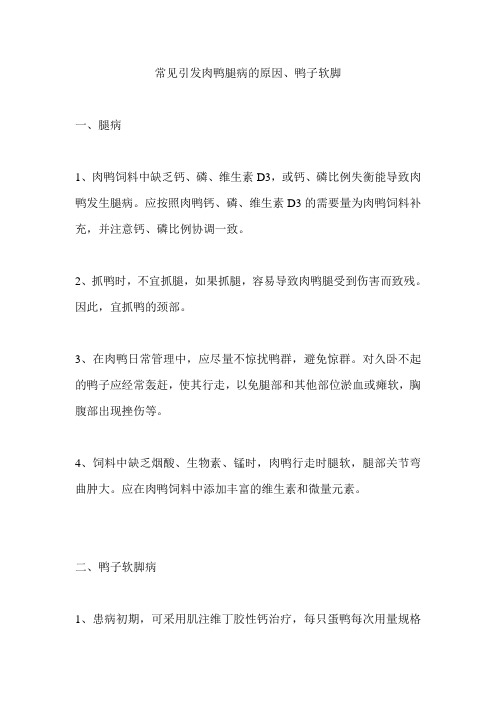 常见肉鸭病的原因以及中药治疗方法