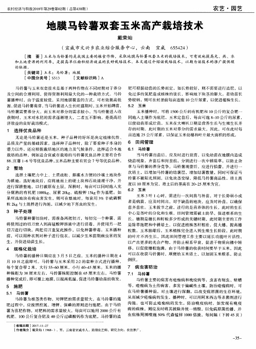 地膜马铃薯双套玉米高产栽培技术