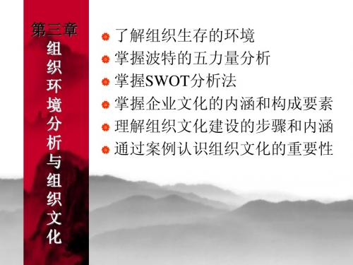 3 组织环境分析与组织文化
