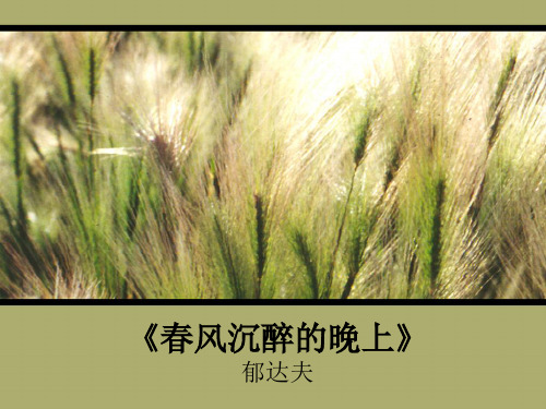 春风沉醉的晚上__郁达夫