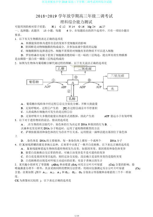 河北省衡水中学2019届高三下学期二调考试理科综合试题