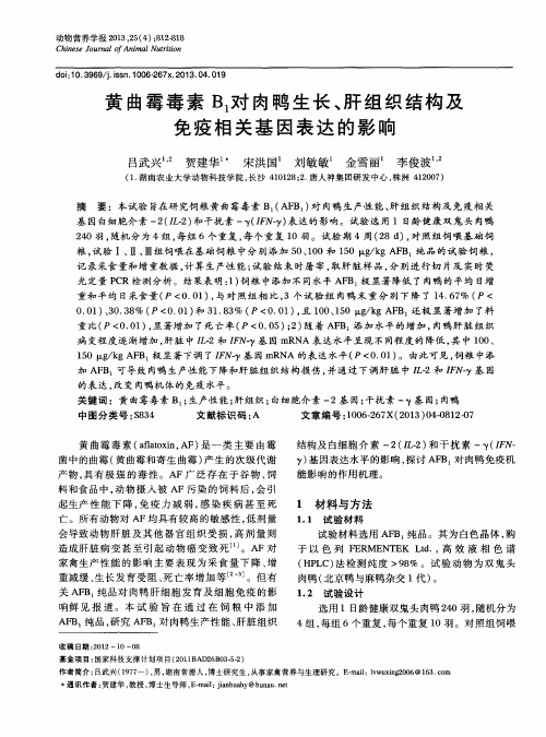黄曲霉毒素B_1对肉鸭生长、肝组织结构及免疫相关基因表达的影响