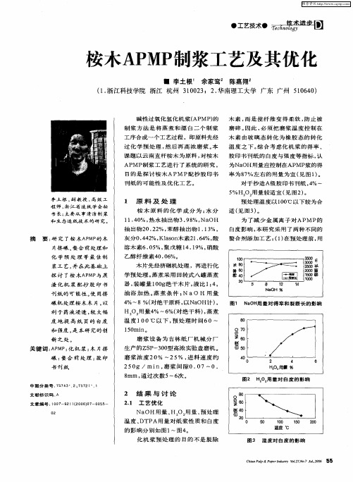 桉木APMP制浆工艺及其优化