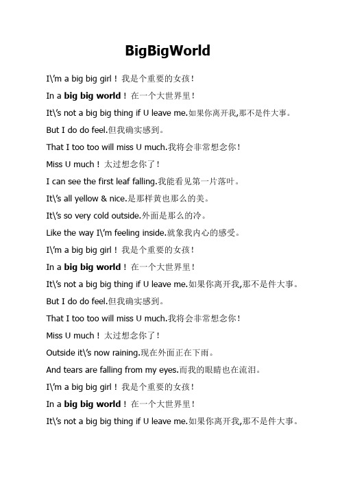 BigBigWorld《大大世界》歌词