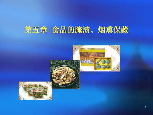 食品工艺学导论品的腌渍烟熏保藏