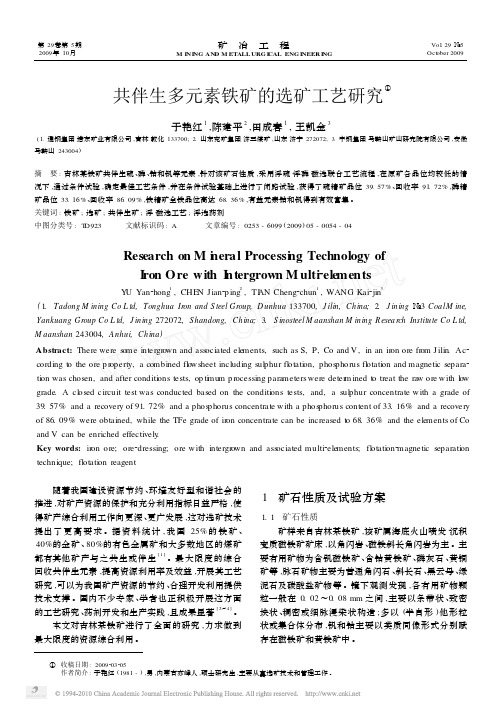 共伴生多元素铁矿的选矿工艺研究