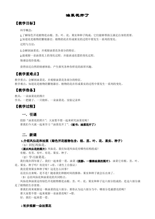 四年级下册科学教案与反思- 2.1 油菜花开了｜教科版