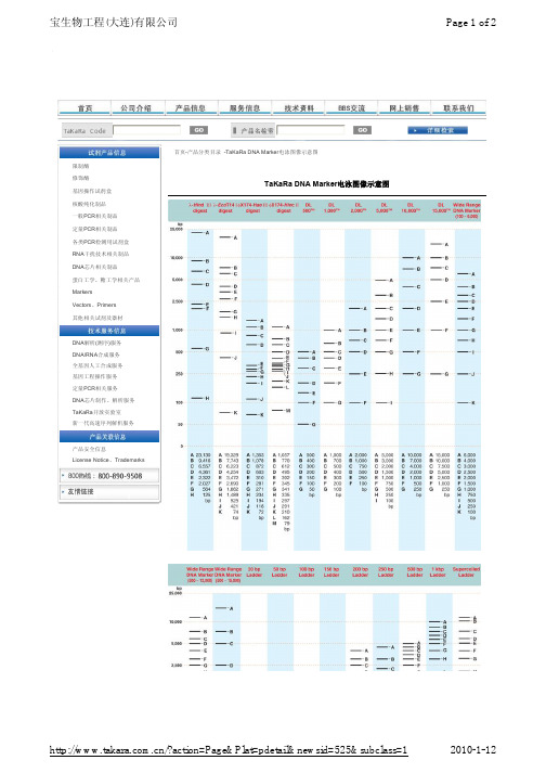 TAKARA DNA marker 电泳图像示意图
