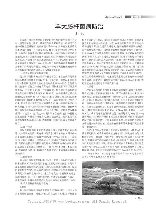 羊大肠杆菌病防治