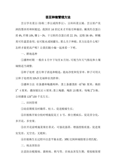 芸豆种植管理方法